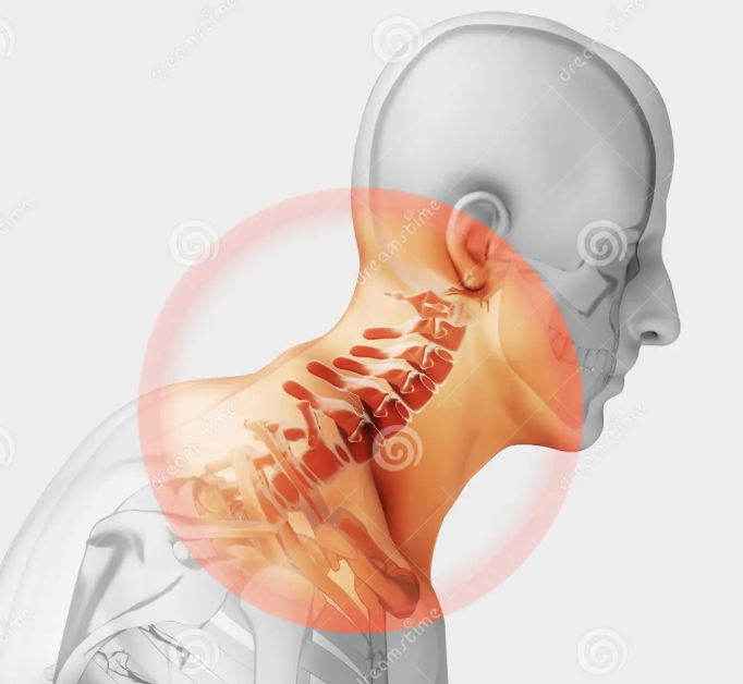 Neurology Pain Science (10 min read)